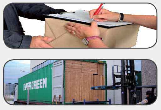 Exportación de luces de navidad, venta al mayor y al detalle