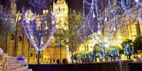 Combinar cortina de led y goteos luminosos en árboles
